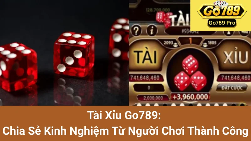 Tài Xỉu Go789: Chia Sẻ Kinh Nghiệm Từ Người Chơi Thành Công